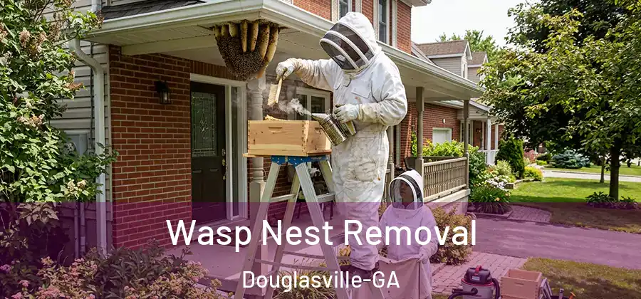 Wasp Nest Removal Douglasville-GA
