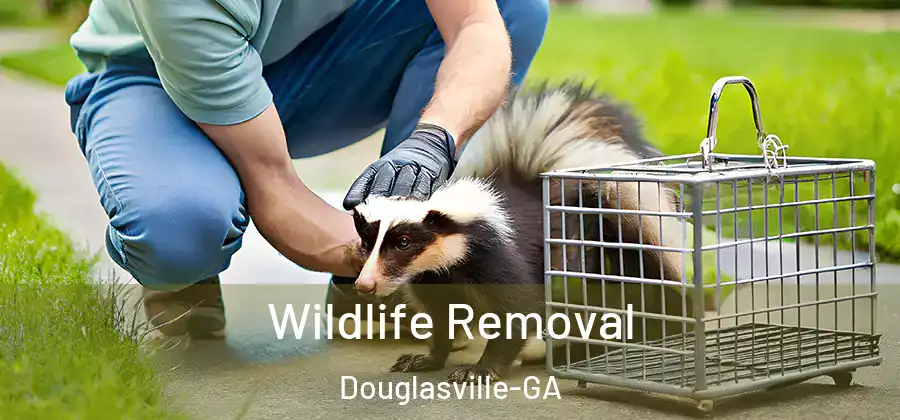 Wildlife Removal Douglasville-GA