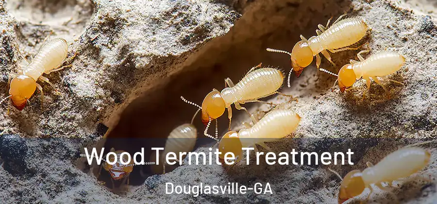  Wood Termite Treatment Douglasville-GA