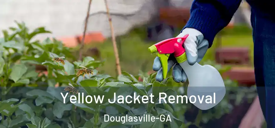  Yellow Jacket Removal Douglasville-GA